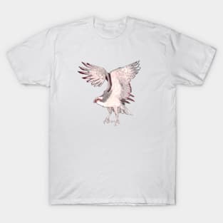 Osprey T-Shirt